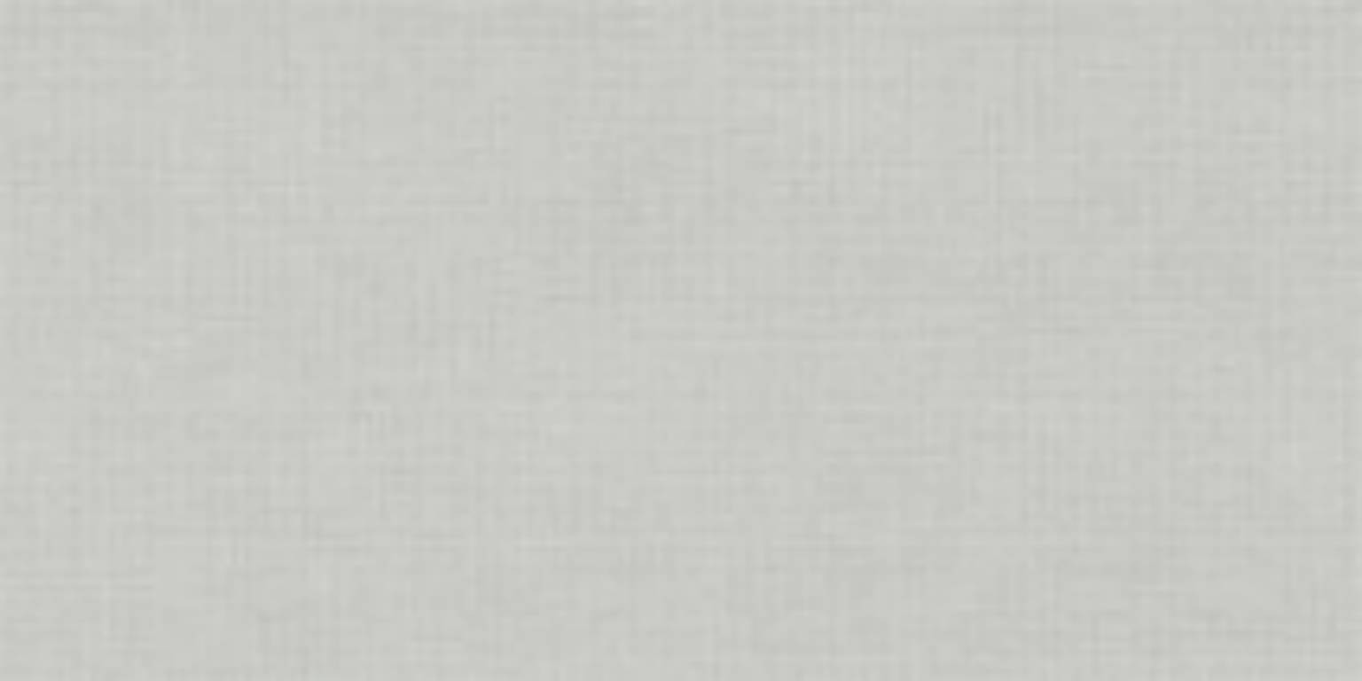 Fibra Silver | Spaincer | Opportunity Center