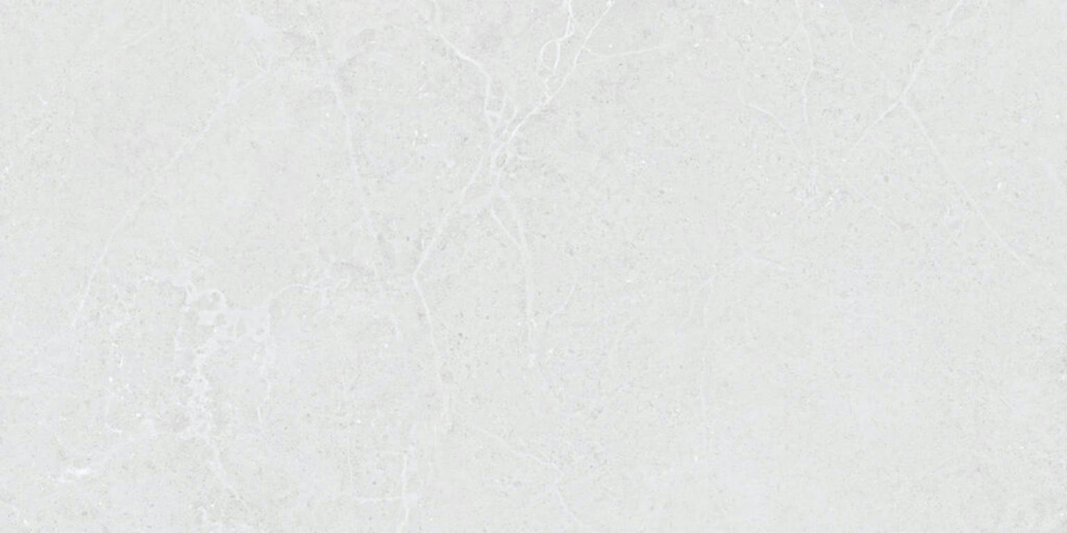 Norwich White Mt | Spaincer | Opportunity Center