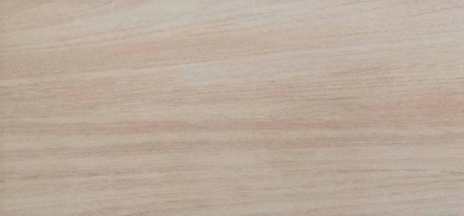 Ostrya Oak | Spaincer | Opportunity Center