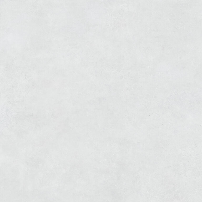 Cricket White Ant. | Spaincer | Opportunity Center