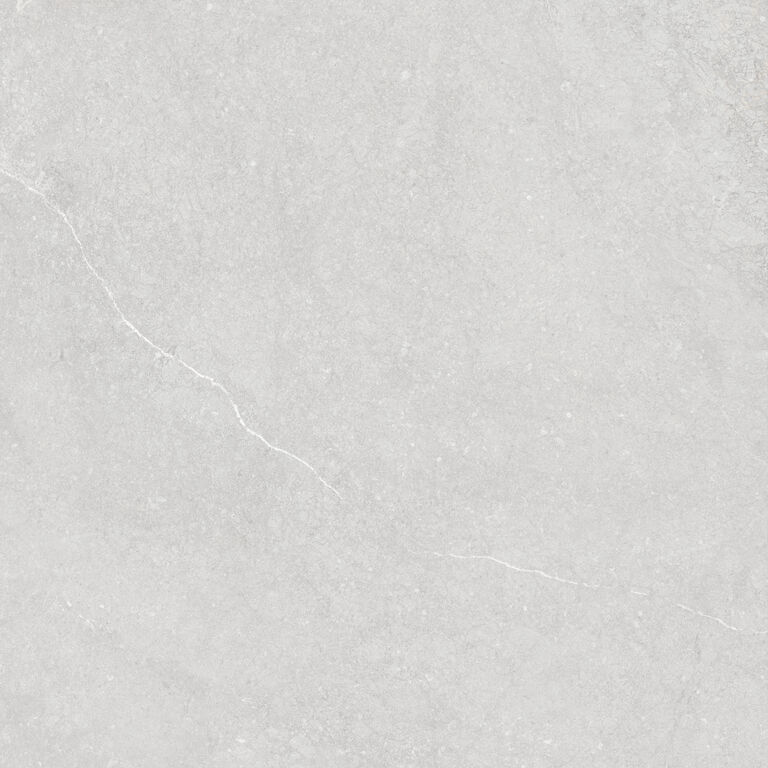 Munich White Ant. | Spaincer | Opportunity Center