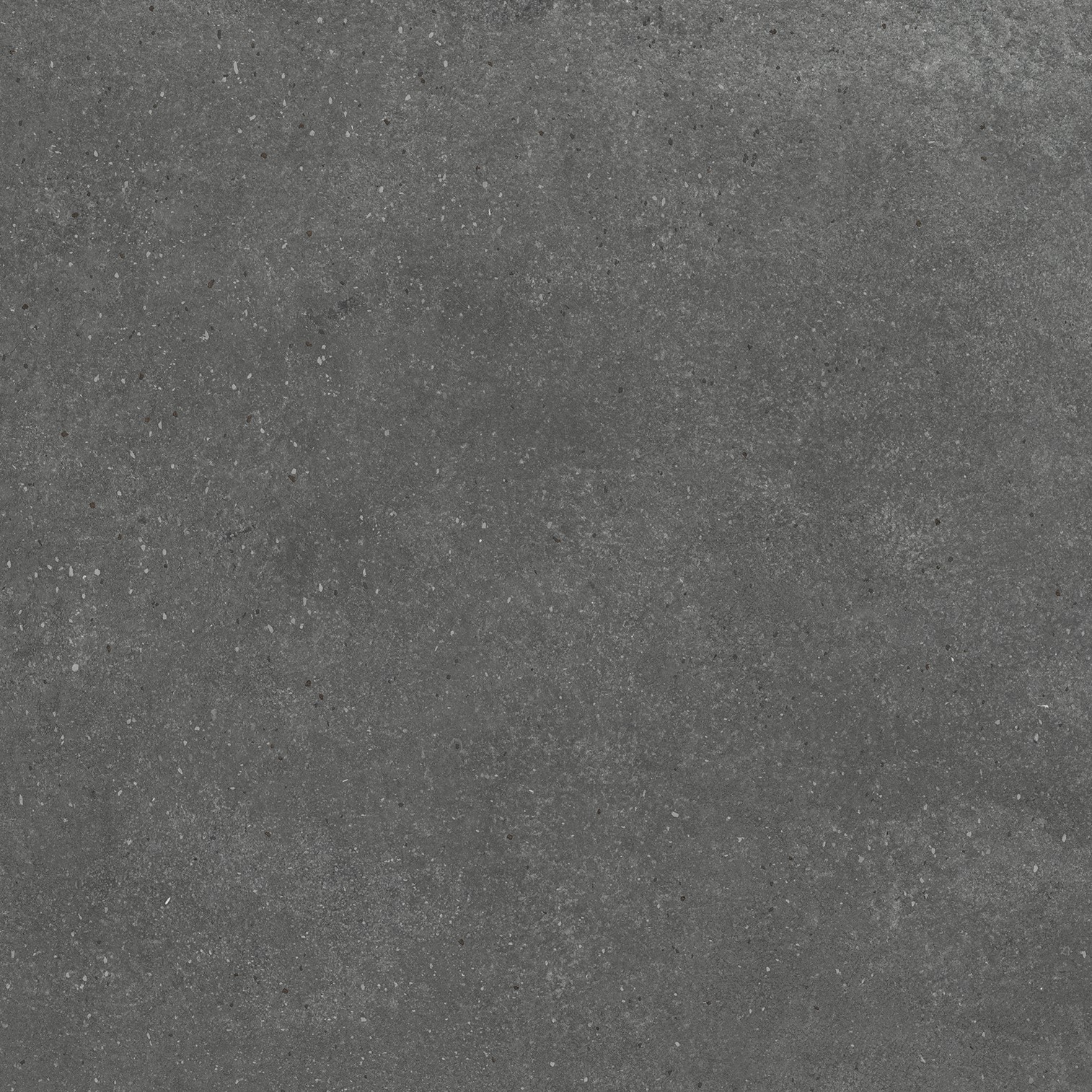 Bravel Shadow | Spaincer | Opportunity Center