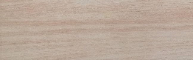 Ostrya Oak Mt | Spaincer | Opportunity Center