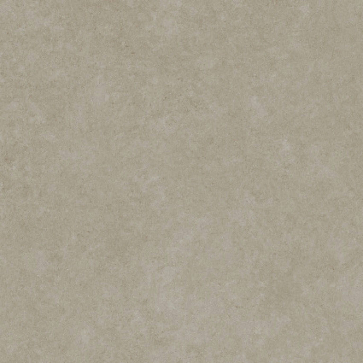 Rex Taupe | Spaincer | Opportunity Center