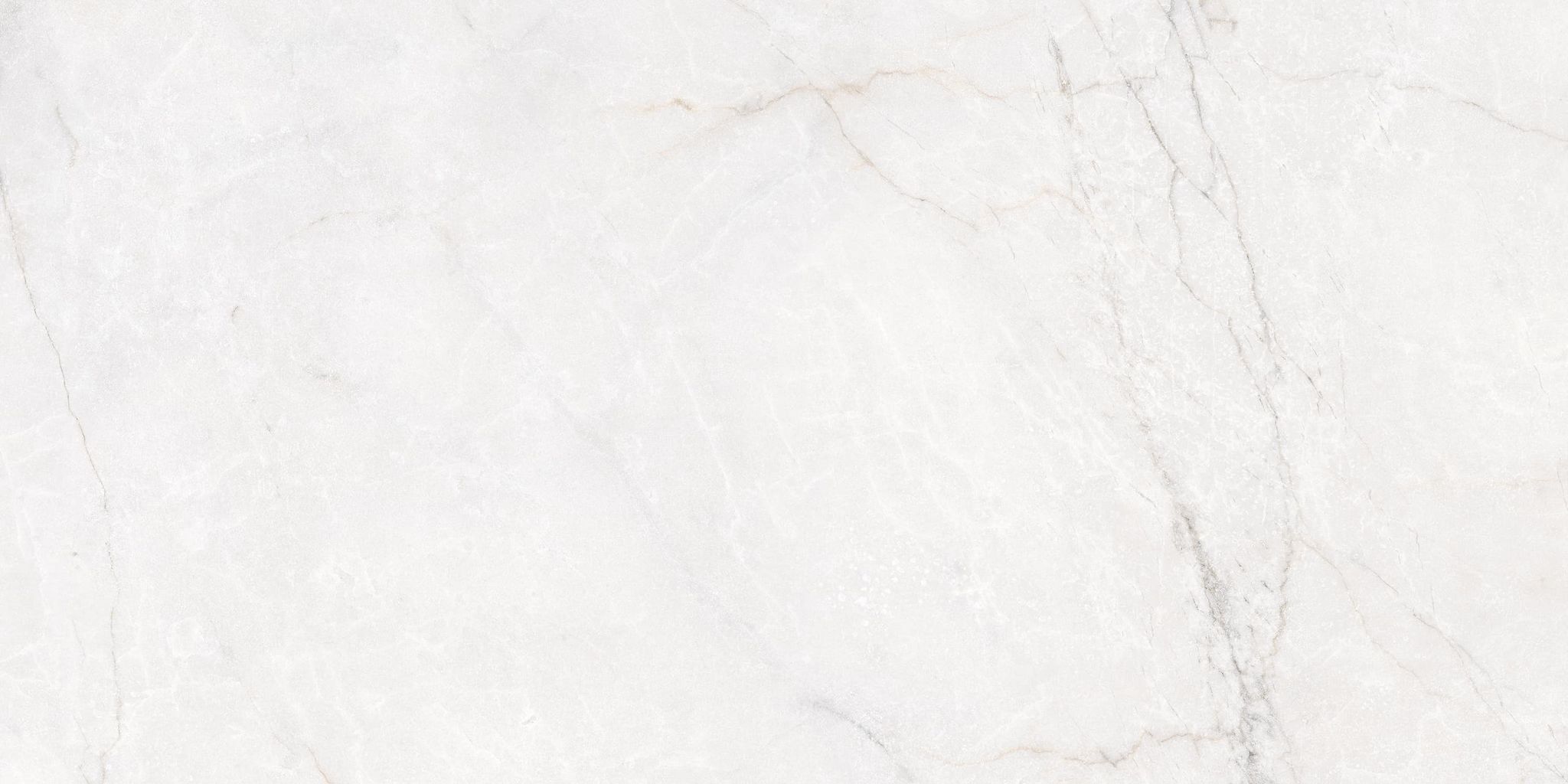 Class Bianco Ant. | Spaincer | Opportunity Center
