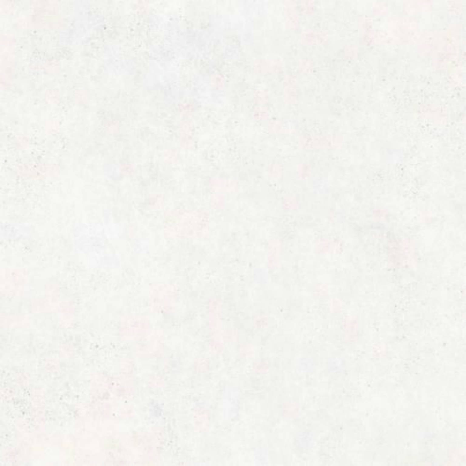 Ever White | Spaincer | Center of Opportunities