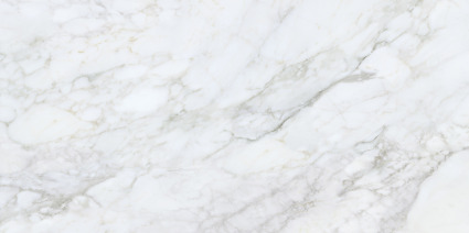 Bellini Salvia Silk | Spaincer | Center of Opportunities