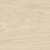 Birch Light Extrem 20Mm | Spaincer | Center of Opportunities