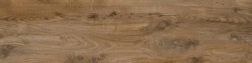 Nebraska Extrem Oak 20Mm | Spaincer | Center of Opportunities