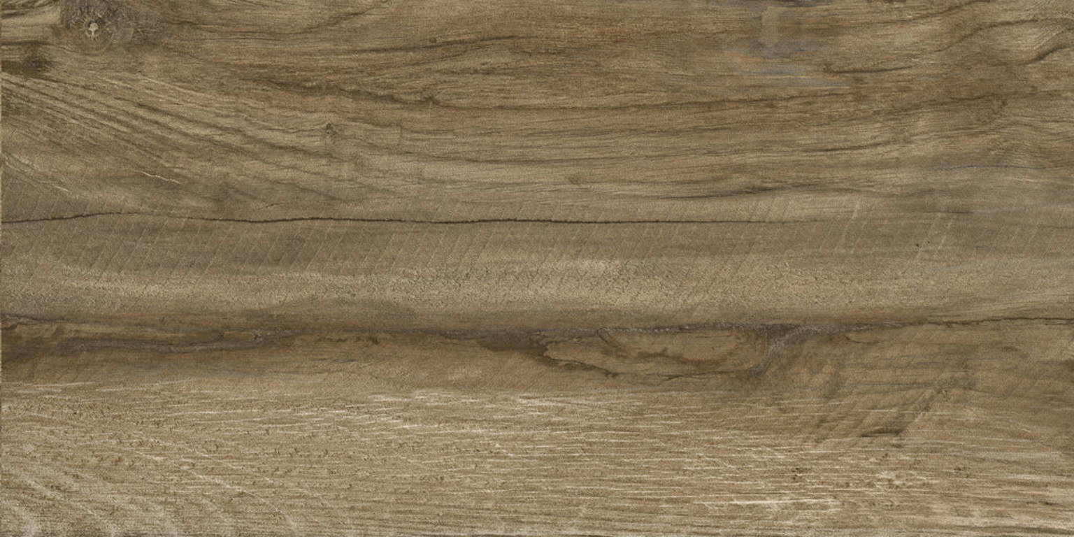 Nebraska Oak Nplus | Spaincer | Center of Opportunities