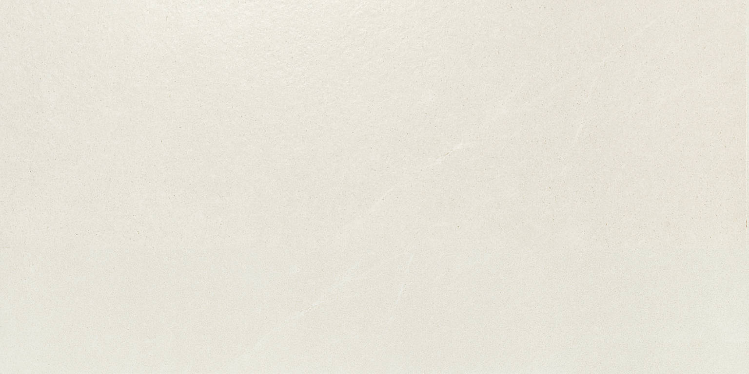 Contact White | Spaincer | Center of Opportunities