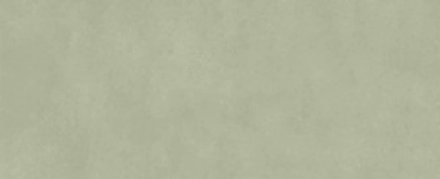 Lisbon Olive | Spaincer | Centre d'opportunités
