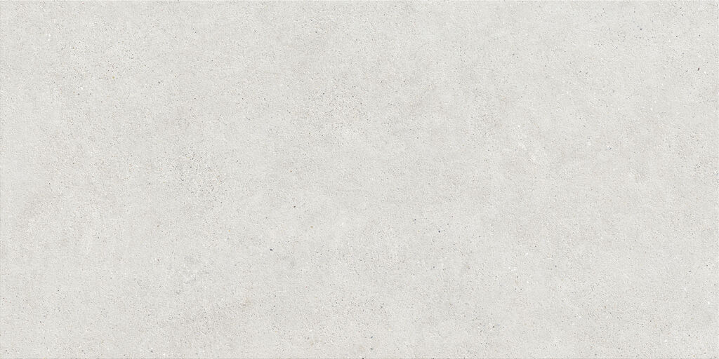 Borneo White Ant. | Spaincer | Centre d'opportunités