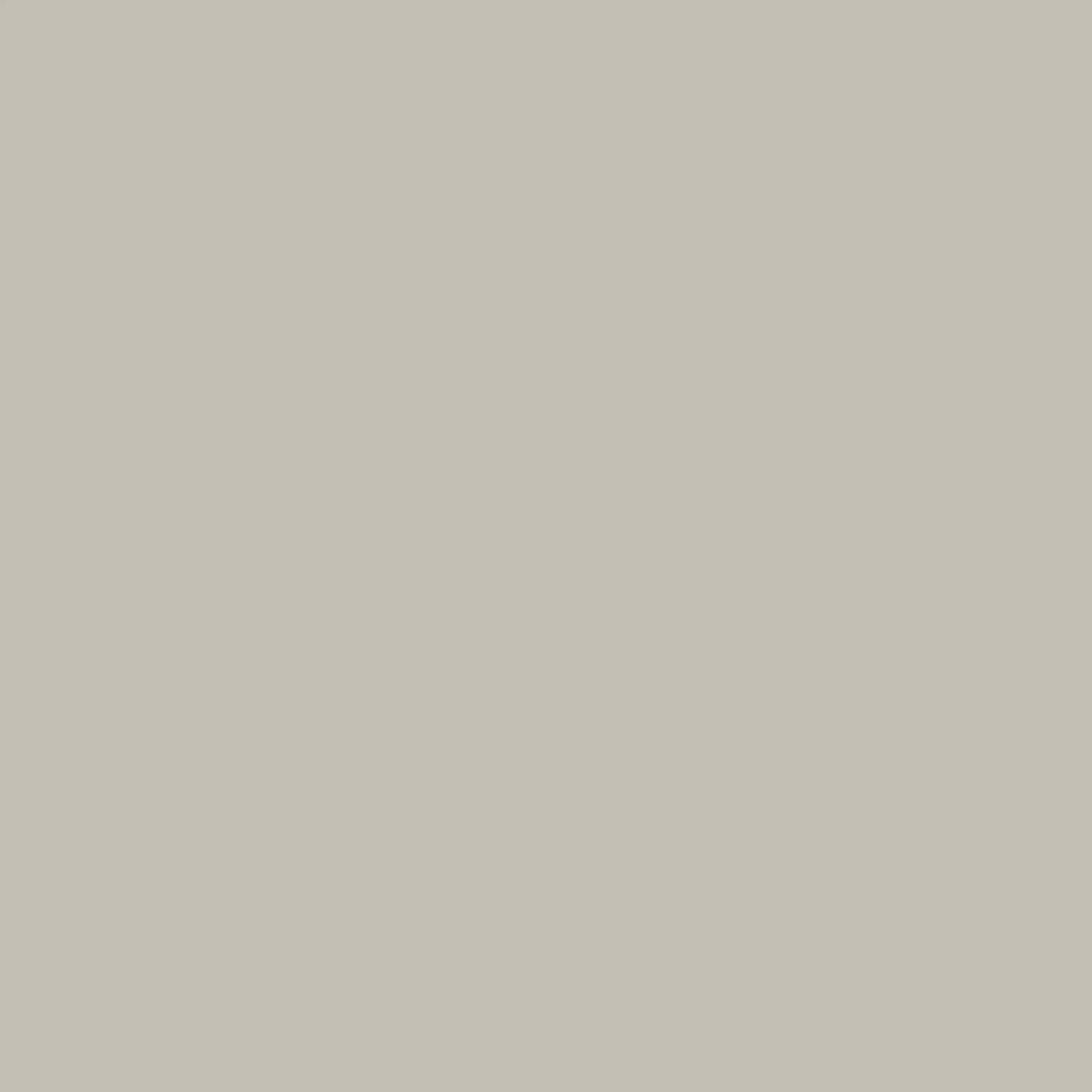 Carpenter Taupe | Spaincer | Centre d'opportunités