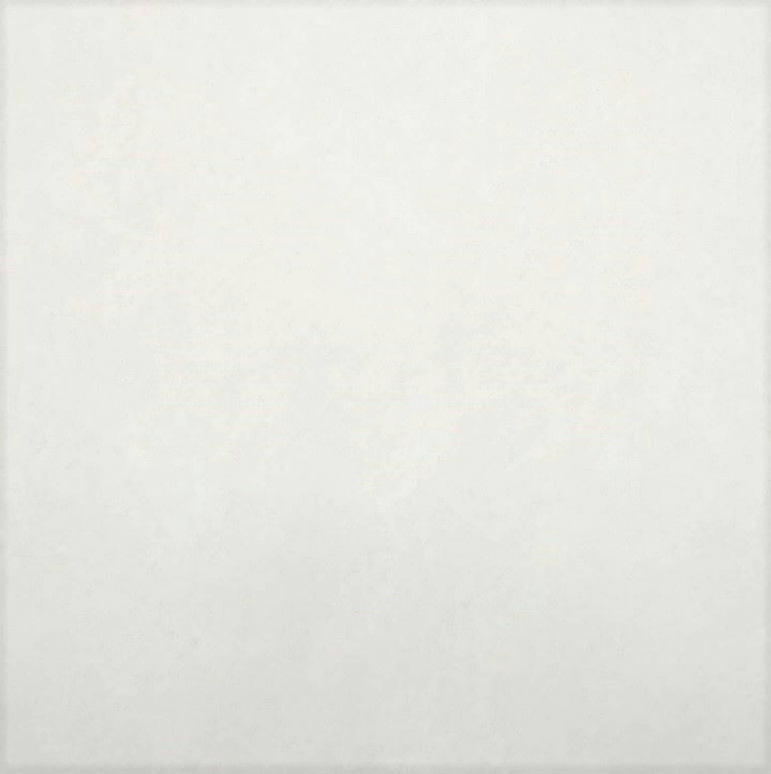 Portland White Ant. | Spaincer | Centro de oportunidades