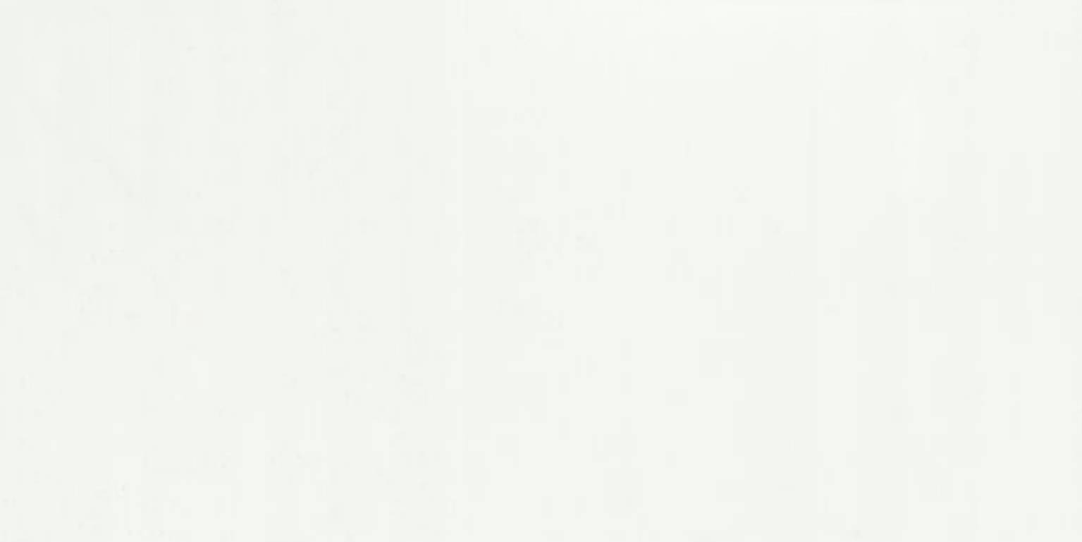 All White Matt | Spaincer | Centro de oportunidades