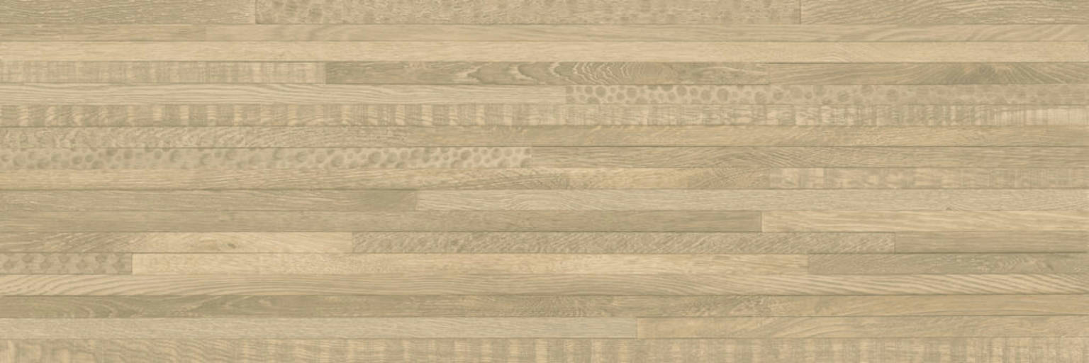 Tanzania Oak Mt | Spaincer | Centro de oportunidades