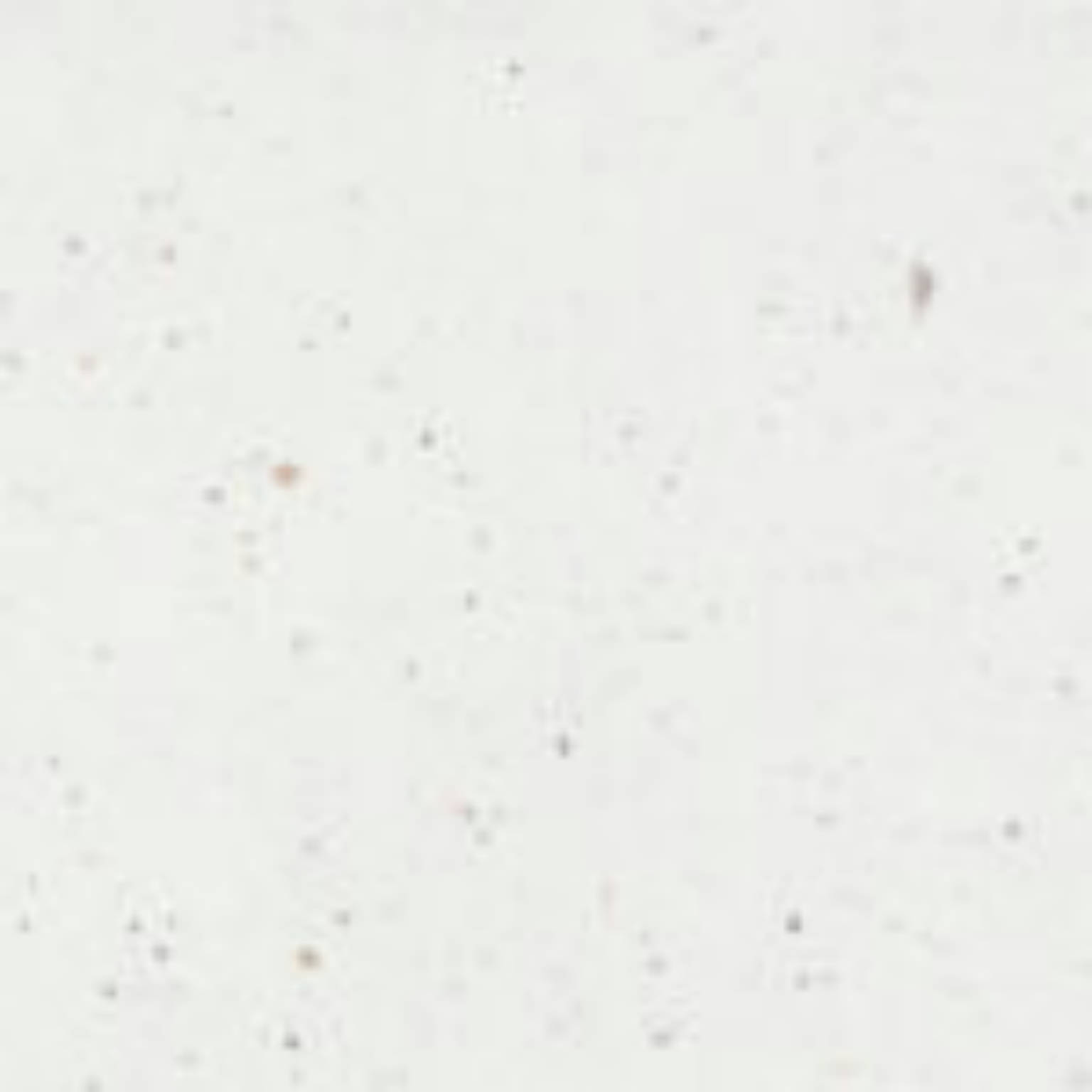 Cosmos White | Spaincer | Centro de oportunidades