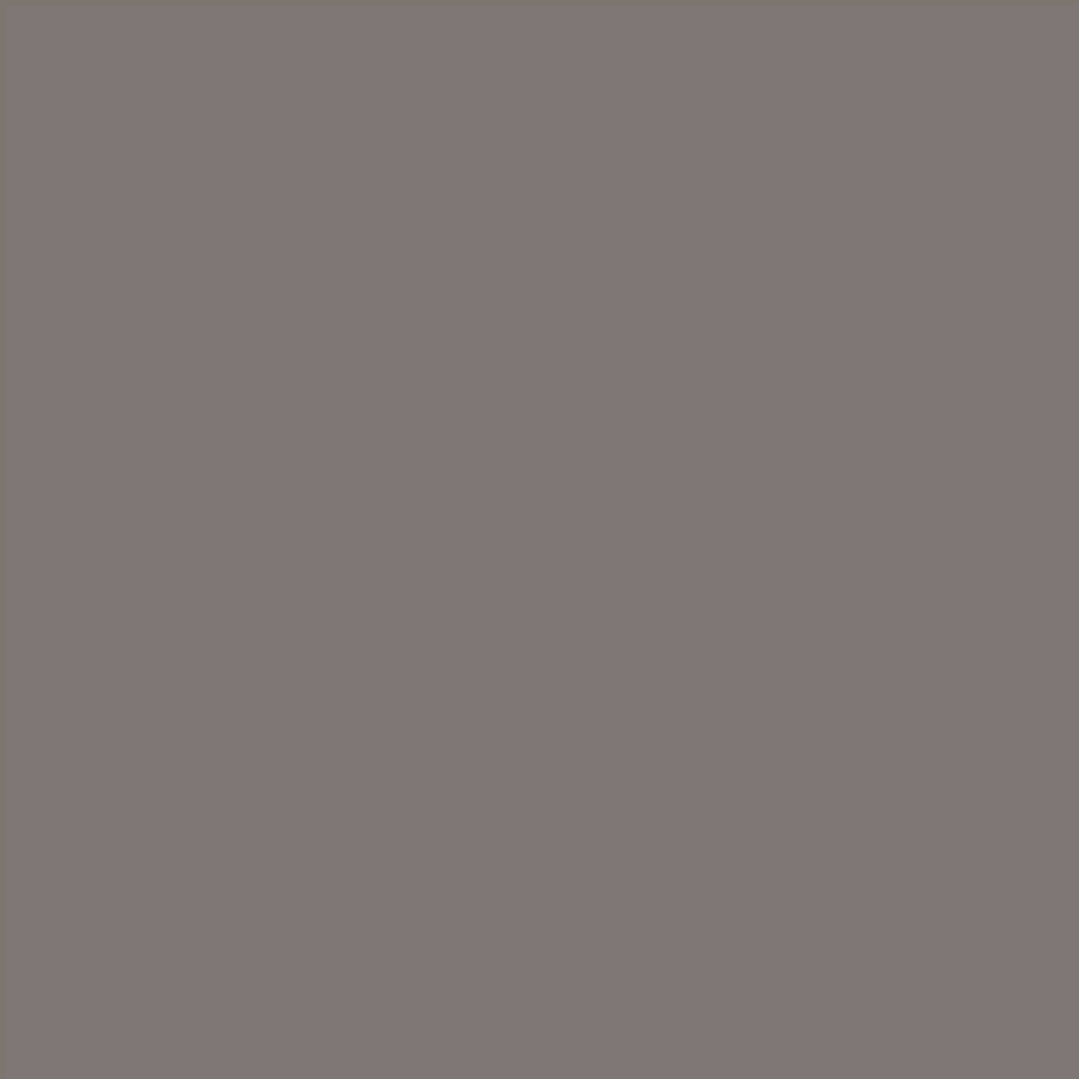 Carpenter Grey | Spaincer | Centro de oportunidades