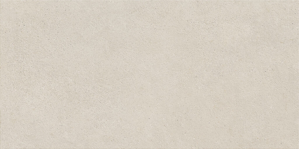 Borneo Sand Ant. | Spaincer | Centro de oportunidades