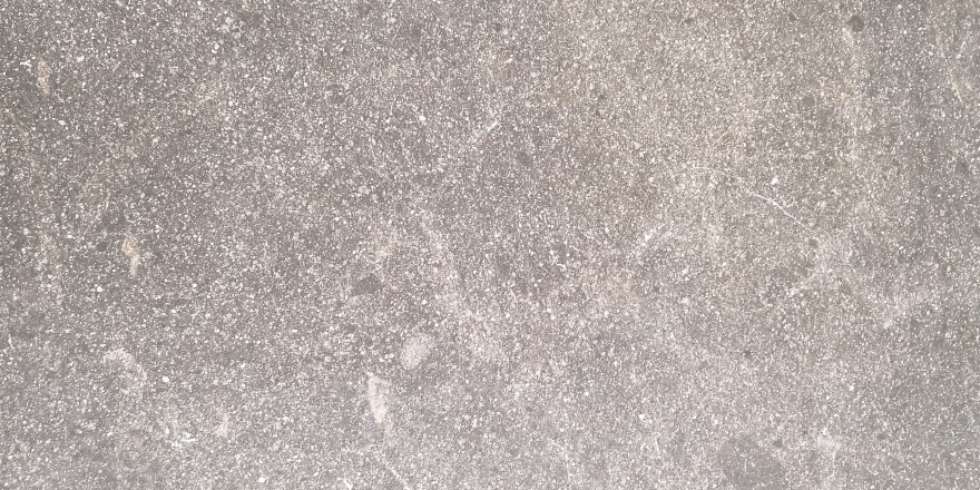 Iblei Grey Ant. | Spaincer | Centro de oportunidades