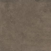 Dust Ambre | Spaincer | Centro de oportunidades