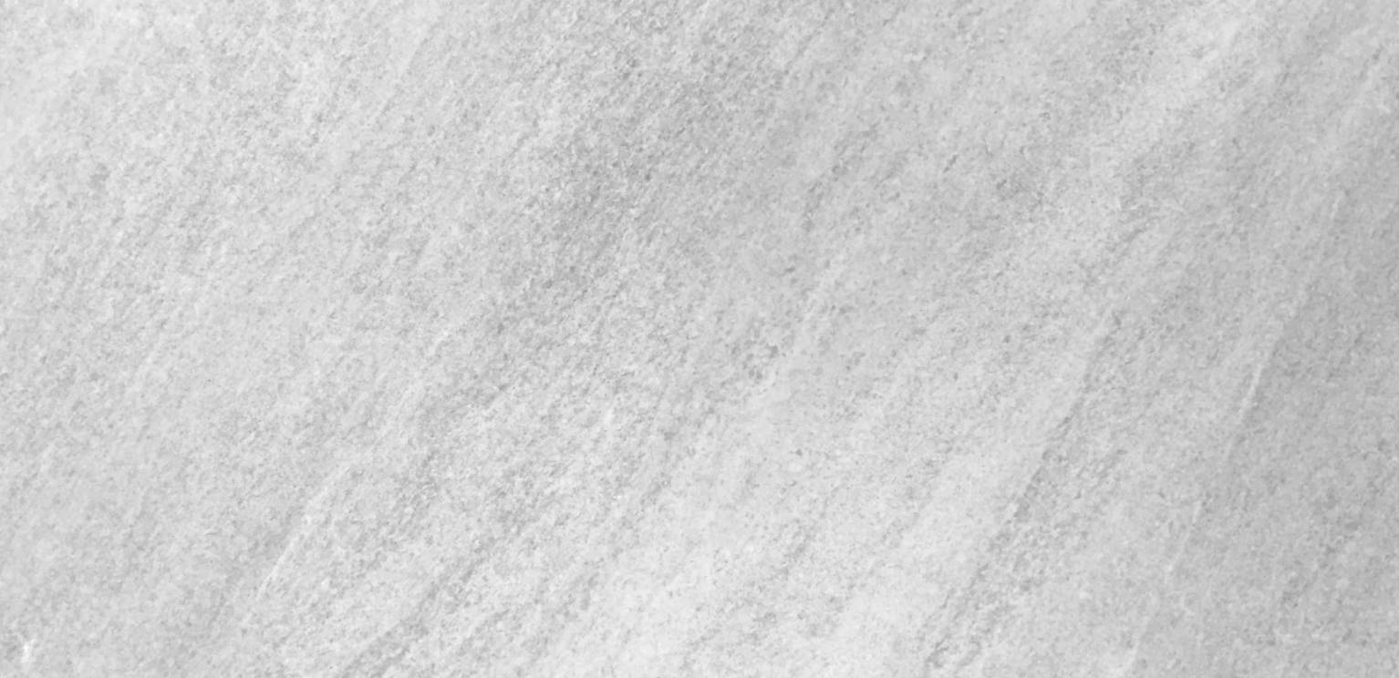 Falcon Gris | Spaincer | Centro de oportunidades